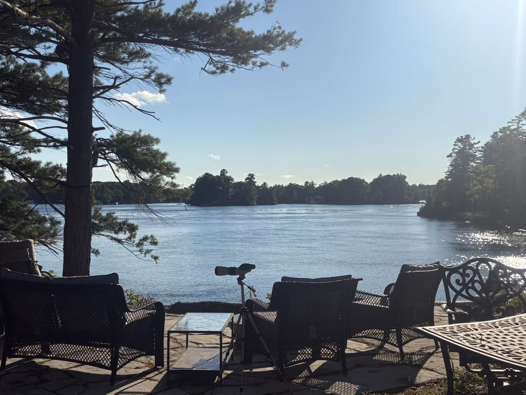 Chairs looking across the river from the island beneath tall pines